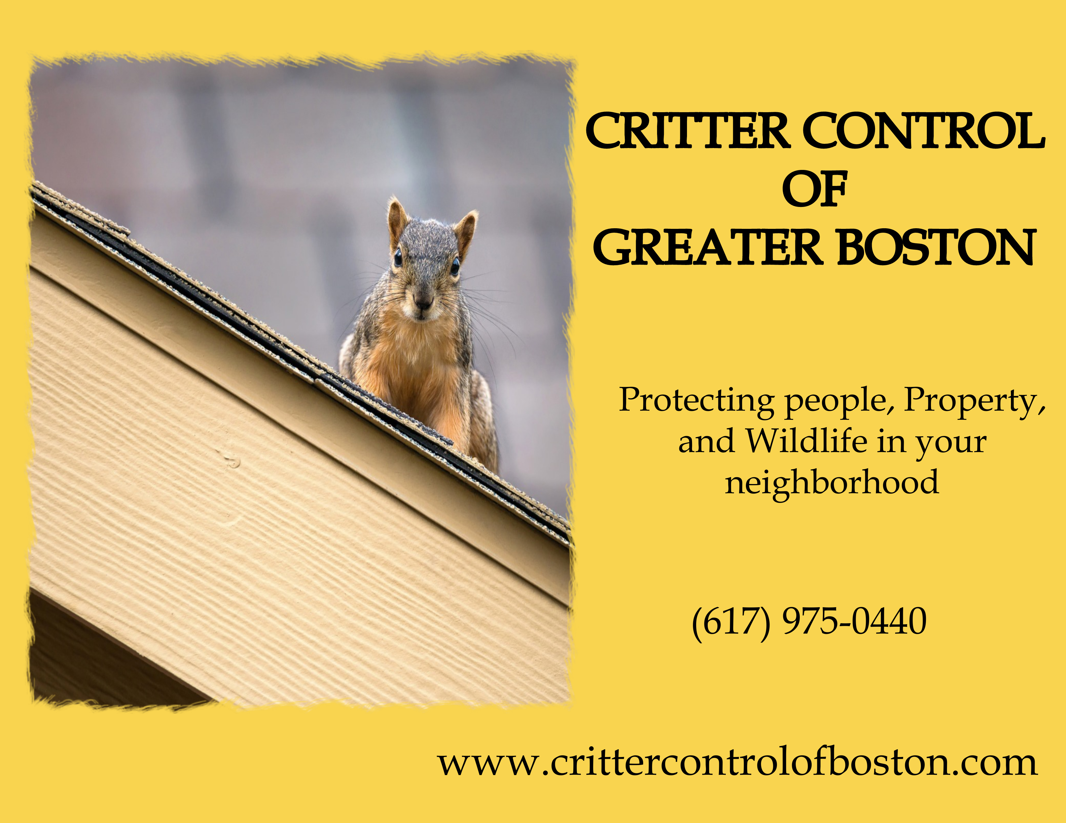 Avatar for Critter Control of Boston