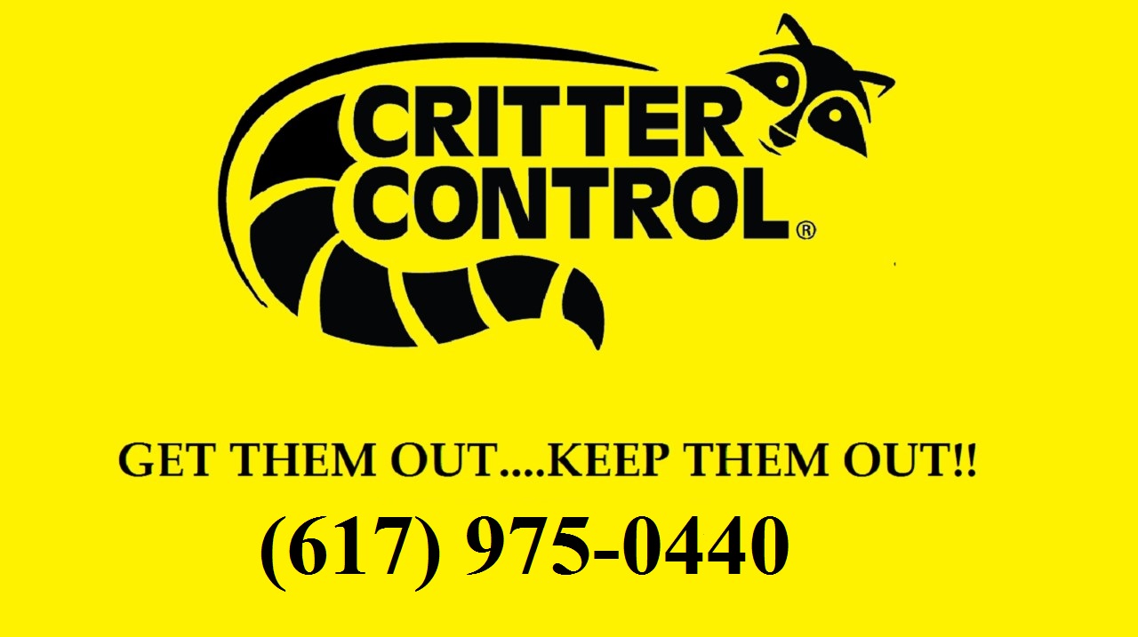 Logo for Critter Control of Boston